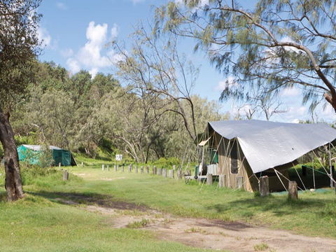 Pebbly Beach Campground - Yuraygir National Park - Accommodation Gladstone 0