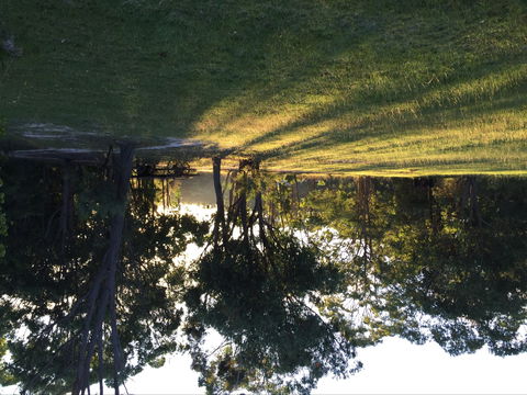 Possum's Hollow And Hooter's Hut - Accommodation Gladstone 0
