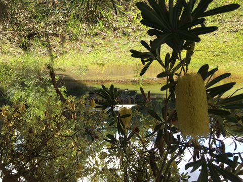 Possum's Hollow And Hooter's Hut - Accommodation Gladstone 2