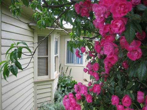 Valley Views Bed And Breakfast - Accommodation Gladstone 0