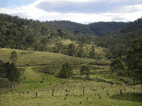 Yasuragi Cabins - Accommodation Gladstone