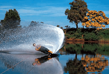 Buckenderra NSW Accommodation Gladstone