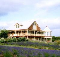 Serendipity Lavender Farm - Accommodation Gladstone