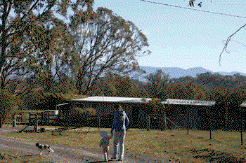 Candelo NSW Accommodation Gladstone