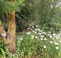 Springbank Bed and Breakfast - Accommodation Gladstone