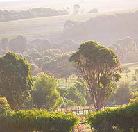 Mackas Farm - Accommodation Gladstone