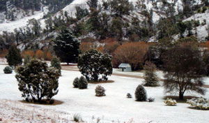 Omeo Caravan Park - Accommodation Gladstone 1