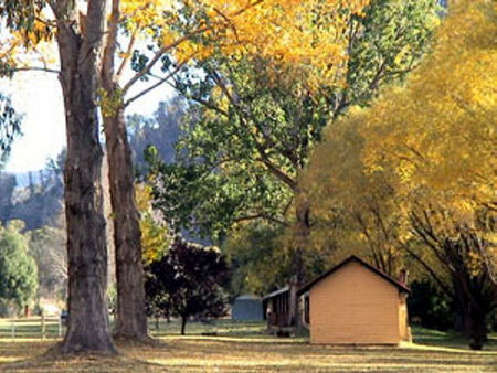 Omeo Caravan Park - Accommodation Gladstone 4