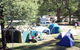 Black Spur Motel And Caravan Park - thumb 0