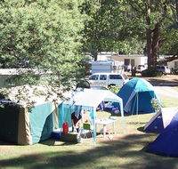 Black Spur Motel and Caravan Park - Accommodation Gladstone