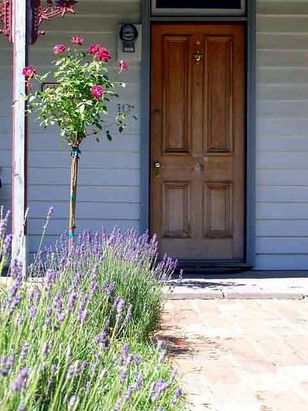 Airleigh - Rose Cottage - Accommodation Gladstone 2
