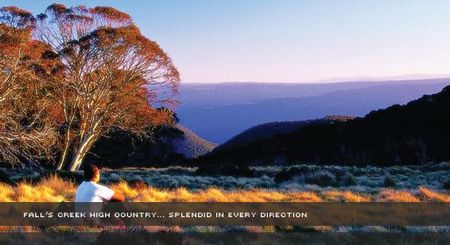 Alpine View Apartments - Accommodation Gladstone 1