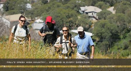 Alpine View Apartments - Accommodation Gladstone 3