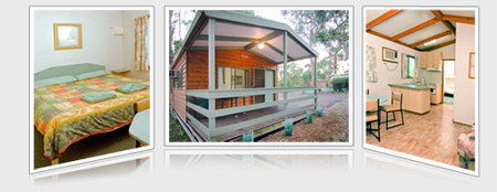 A Maze N Things Holiday Park - Accommodation Gladstone 5