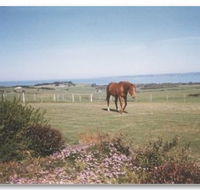 First Class Bed and Breakfast - Accommodation Gladstone
