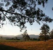 Cann River Rainforest Caravan Park - Accommodation Gladstone