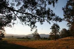 Cann River Rainforest Caravan Park - Accommodation Gladstone 0