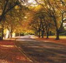 La Trobe at Beechworth - Accommodation Gladstone