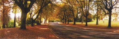 La Trobe At Beechworth - Accommodation Gladstone 0