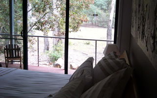 Glengarriff Town Houses - Accommodation Gladstone 0