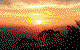 Avocado Sunset - thumb 0