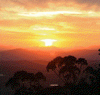 Avocado Sunset - Accommodation Gladstone
