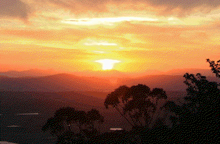 Avocado Sunset - Accommodation Gladstone 0