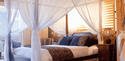 Avocado Sunset - Accommodation Gladstone 2