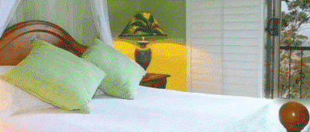 Avocado Sunset - Accommodation Gladstone 3