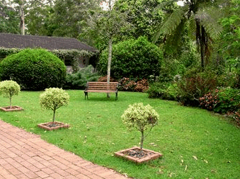 Tall Trees Motel - Accommodation Gladstone 2