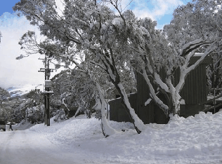 Mulligatawny Ski Club - Accommodation Gladstone 1