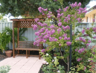 Baudins Of Busselton - Accommodation Gladstone 2