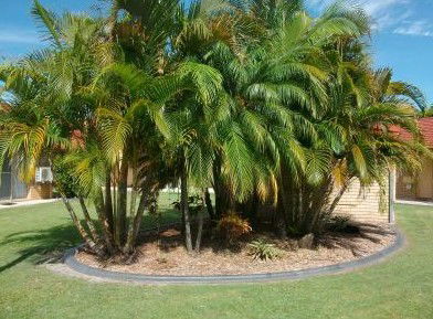 Yamba Motor Inn - Accommodation Gladstone 5