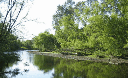Ribbonwood Cottages - Accommodation Gladstone