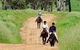 Hanericka Farm Stay - thumb 1