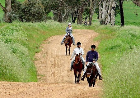 Hanericka Farm Stay - Accommodation Gladstone 1