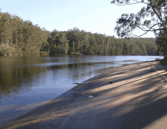 Riverbend Cottage - Accommodation Gladstone 1