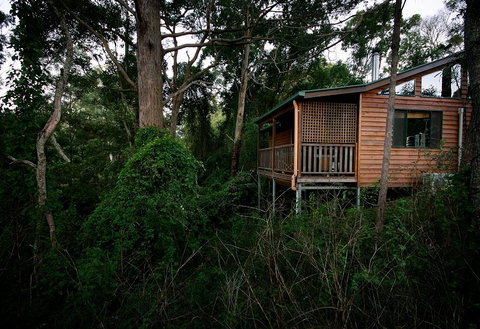 Ravensbourne Forest Chalets - Accommodation Gladstone 4