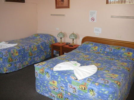 Civic Motel Grafton - Accommodation Gladstone 2