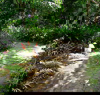 Coco's Country Cottage - Accommodation Gladstone