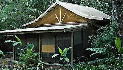 Byron Bay Rainforest Resort - Accommodation Gladstone 0