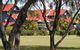 Beachfront Apartments - thumb 0