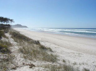 Gunya Maia - Accommodation Gladstone 3