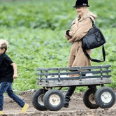 Perth City Farm Organic Markets - Accommodation Gladstone 0