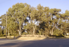 The York Residency Museum - Accommodation Gladstone 2