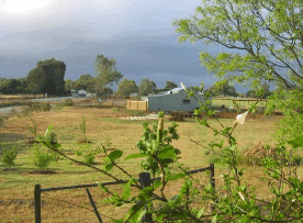 The House Of Honey - Accommodation Gladstone 2