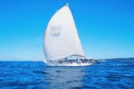 Manly Harbour Village - Accommodation Gladstone