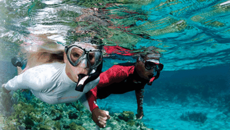 Snorkel Safari Brisbane - Accommodation Gladstone 1