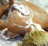Exotique Massage - Accommodation Gladstone