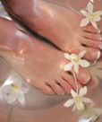 Orchid Day Spa - Accommodation Gladstone 0